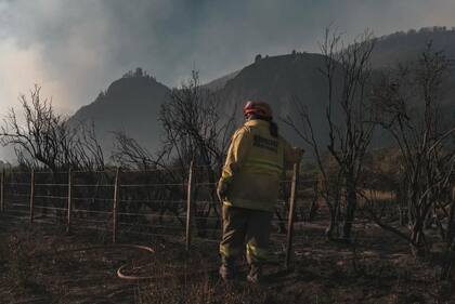 Un brigadista en plena lucha contra el fuego