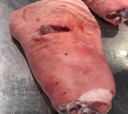 Un buen codillo de cerdo se caracteriza por tener un sabor y olor intenso, grasa de color blanco y textura cremosa, pulpa de tono rosado intenso, textura firme, pero elástica