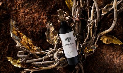 Un buen vino siempre es un gran regalo.