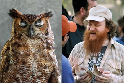 Cerdos, cisnes, tortugas y pavos reales: duplas con humor, moda y sensualidad