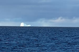 Un iceberg flota cerca de la Isla de los Estados