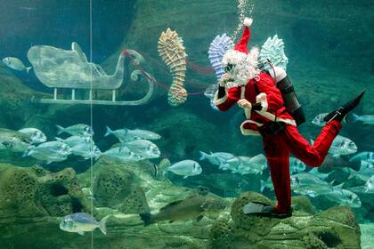 Un buzo disfrazado de Papá Noel se presenta en un acuario en Heraklion, Creta