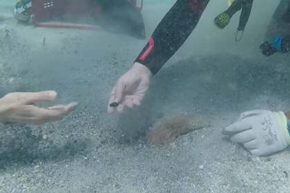 Un buzo encontró las antiguas monedas de casualidad en el fondo del mar Tirreno