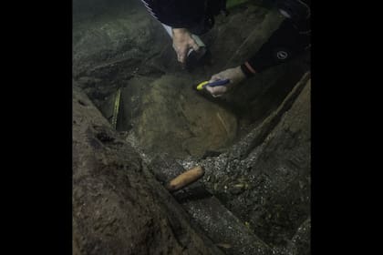 Un buzo examina el barril de madera