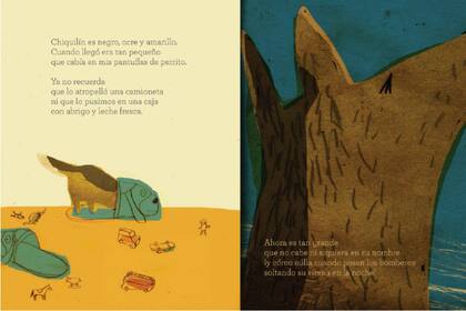 Un cachorro muy pequeño protagoniza Pantuflas de perrito