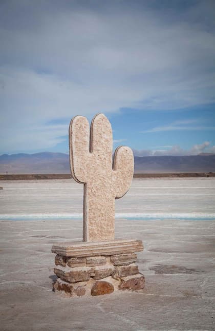 Un cactus de sal en las Salinas Grandes.