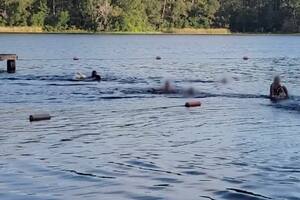 La desesperación de un grupo de niños al huir de un caimán en un lago en Texas