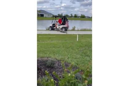 Un caimán atacó un carrito de golf que iba tripulado por dos personas, en Florida