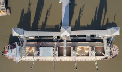 Un cambio particularmente beneficioso es la flexibilización de los criterios para acceder al Estado 1, la categoría de menor riesgo