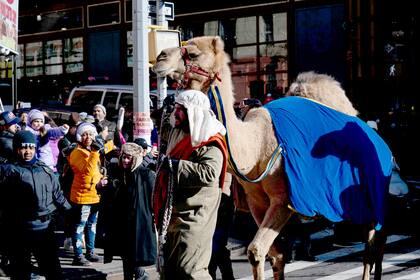 Un camello durante el 47º Desfile Anual del Día de Reyes en East Harlem, Nueva York.