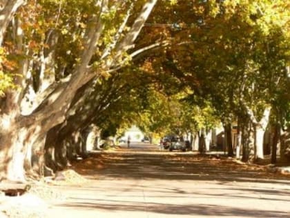 Un camino en General Alvear.