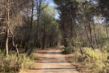Un camino en El Bruc, el pueblito donde Florencia vive en la actualidad.