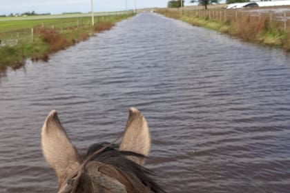 Un camino que es un mar en Salto