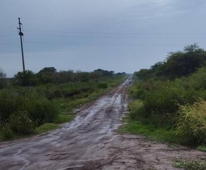 Un camino rural de Tostado, Santa Fe, tras la lluvia