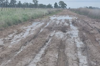 Un camino rural en Carlos Casares, localidad afectada por los anegamientos
