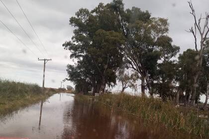 Un camino rural intransitable en Bolívar