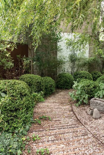 Un camino: Varillas de alambrado demarcan el sendero en este pequeño jardín seco. Bajo un enorme sauce se fueron disponiendo buxus podados como esferas con hiedra por debajo. La pared se iluminó con un rectángulo pintado de blanco que enmarca la vegetación y la destaca (Enriqueta Bustillo)