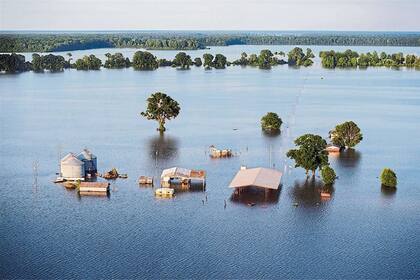 DESASTRE HÍDRICO. Una granja bajo el agua en el delta del Mississippi (EE.UU.); en ecosistemas alterados por el cambio climático, la inundación es la otra cara de la escasez 