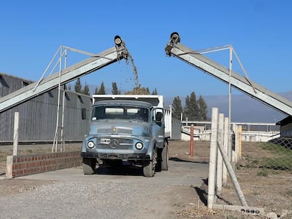 Un camión que traslada el guano