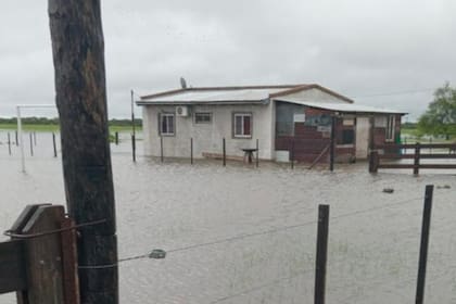 Un campo anegado a unos 20 kilómetros de Vera, en Santa Fe
