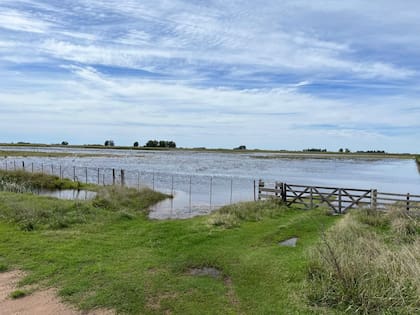 Un campo de Henderson anegado