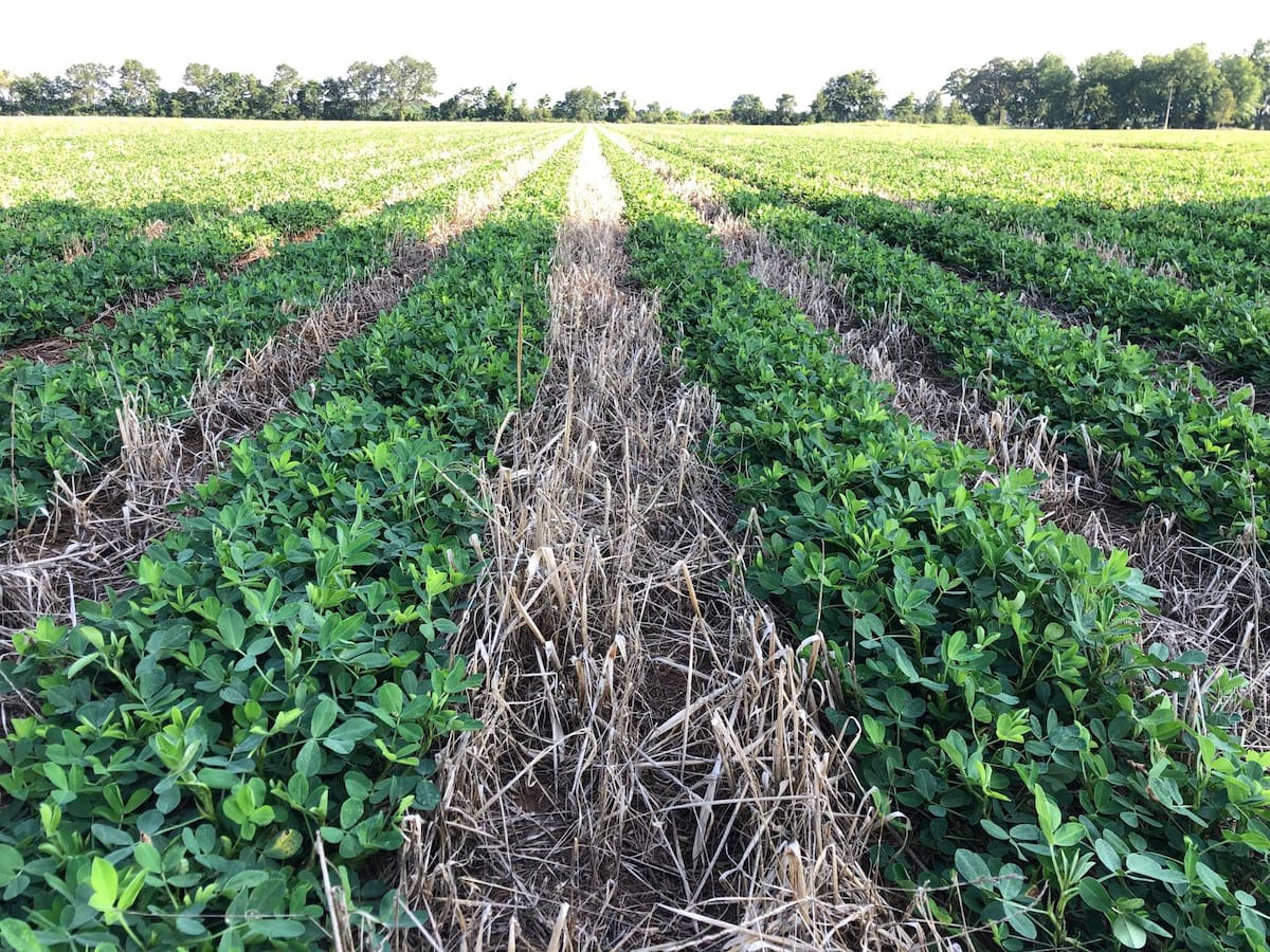 Capital silencioso redefinindo terras agrícolas