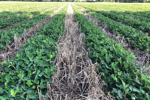 El capital silencioso que redefine la tierra agrícola