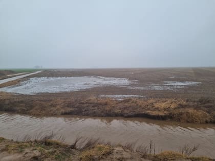 Un campo en Monte Buey tras las lluvias