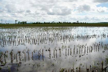 Un campo bajo el agua en Nebraska