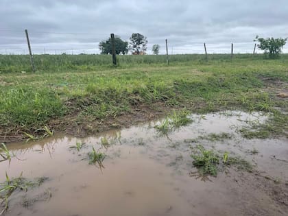 Un campo tras las lluvias en Monte Buey, Córdoba