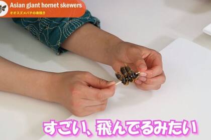 Un canal de YouTube japonés enseña a cocinar las larvas de estos avispones gigantes