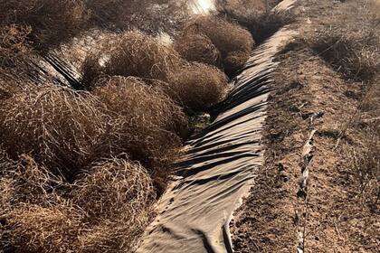 Un canal en un campo interno impermeabilizado