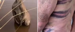 Intentó salvar a su perro y un canguro lo atacó brutalmente