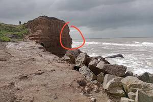 Mar del Plata: un perro cayó 25 metros desde un acantilado y sobrevivió