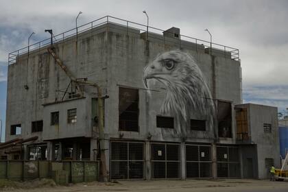 Un águila mora aún en obra