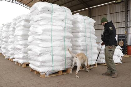 Un cargamento confiscado de 4013 kilos de cocaína que tenía como destino Amberes