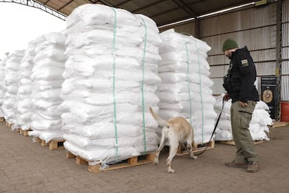 Un cargamento de 4013 kilos de cocaína fue decomisado en Paraguay, dentro de un buque que tenía previsto navegar por la Hidrovía y llegar al puerto de Amberes, en Bélgica.