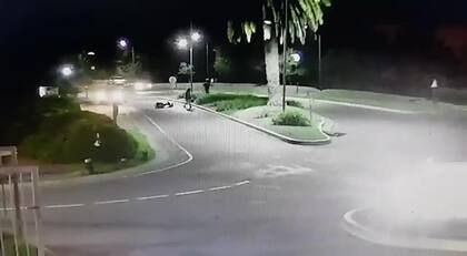 Un carpincho derribó a un motociclista en Nordelta y fue motivo de quejas