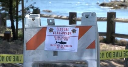 Un cartel indica el cierre temporal de una playa tras el ataque de un tiburón a un hombre en Estados Unidos
