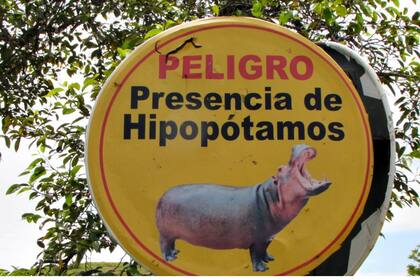 Un cártel que advierte por la presencia de los hipopótamos en las inmediaciones de la Hacienda Nápoles, que fuera propiedad del capo narco Pablo Escobar Gaviria