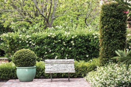 Un cerco bien mantenido gana con los años en presencia y elegancia, y puede convertirse en uno de los elementos más distintivos del proyecto de diseño exterior