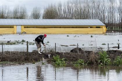 Un chacarero limpia una zanja para que escurra el agua de su establecimiento en Soldini, Santa Fe