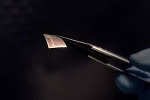 Crean un chip para tener una conexión de alta velocidad entre el cerebro y la computadora