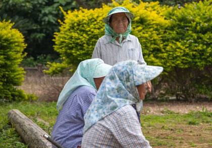 Un científico estudio los comportamientos de las personas que viven más de 100 años en todo el mundo