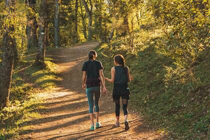 Un circuito de cuatro kilómetros de caminata para llegar al mirador Bandurrias