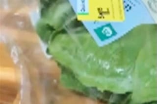 Un cliente en Australia se encontró una rana viva en su bolsa de ensalada