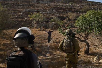 Un colono israelí hace gestos mientras soldados israelíes bloquean el acceso a palestinos a una zona para cosechar aceitunas, cerca de Hebrón, el 23 de octubre de 2025