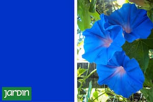 Escaso en la naturaleza, difícil en el laboratorio y cargado de simbolismo desde la antigüedad