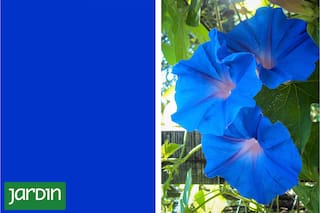 Escaso en la naturaleza, difícil en el laboratorio y cargado de simbolismo desde la antigüedad