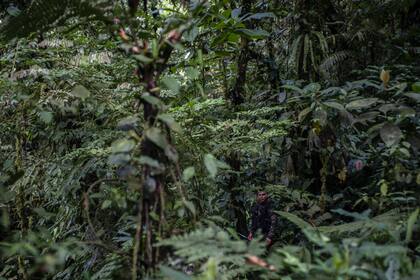 Un combatiente en la selva en la que los disidentes establecieron su nuevo campamento